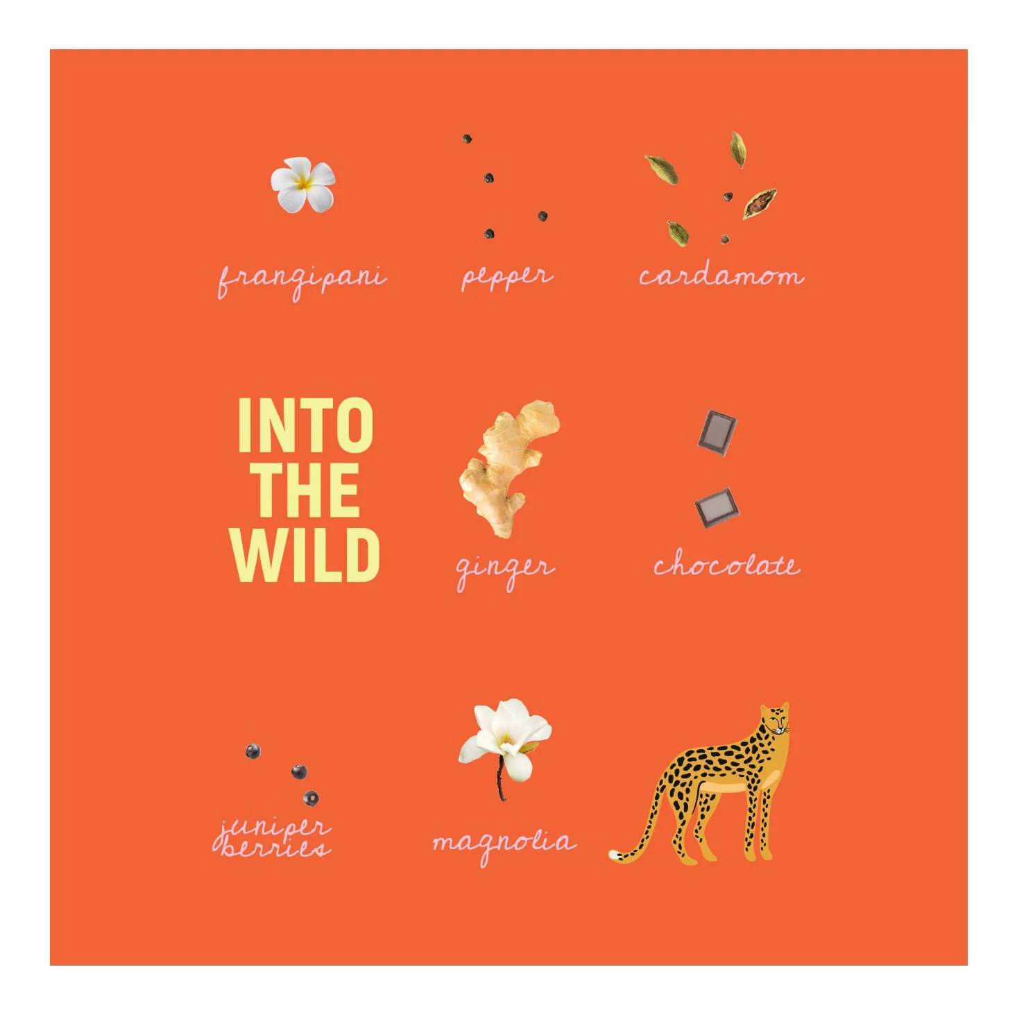 Into The Wild Perfume 50ml - Image 6